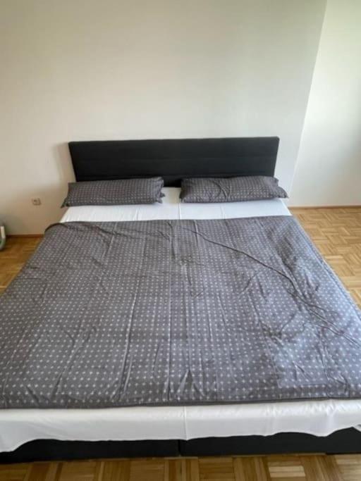 4600 Apartment Wels